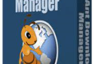 Ant Download Manager Pro 2.7.0 Windows Crack + Serial Key Free Download